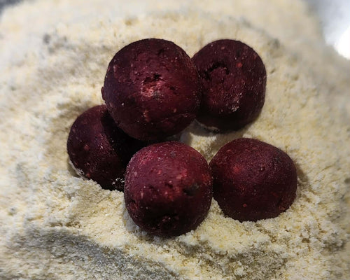 Bouillettes - Redfish